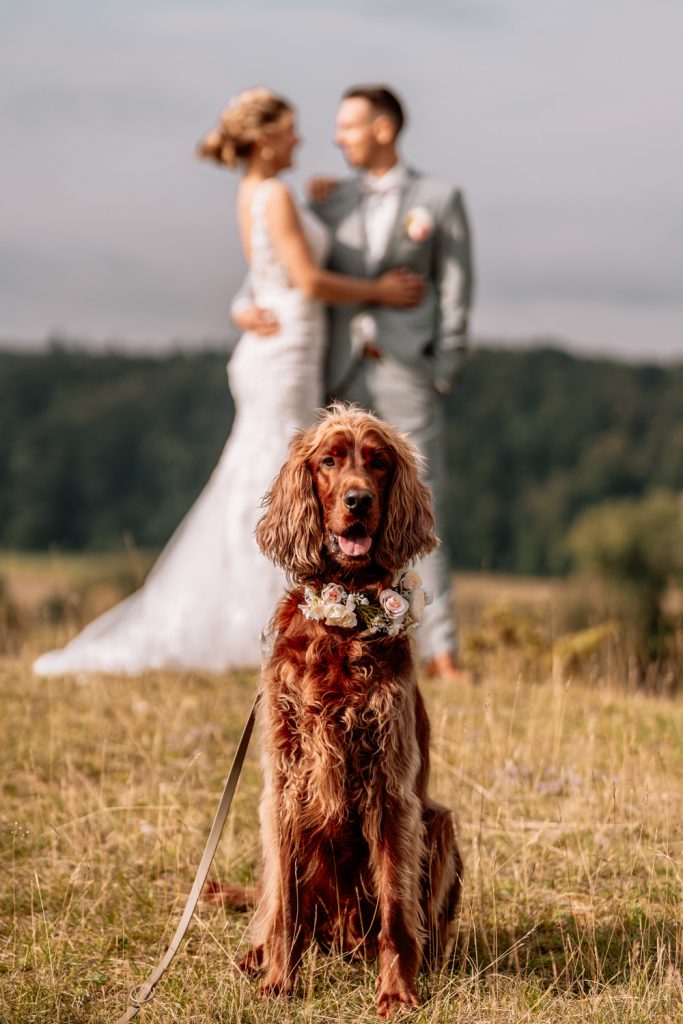 Hochzeitsfotograf Heidenheim Aalen Ulm