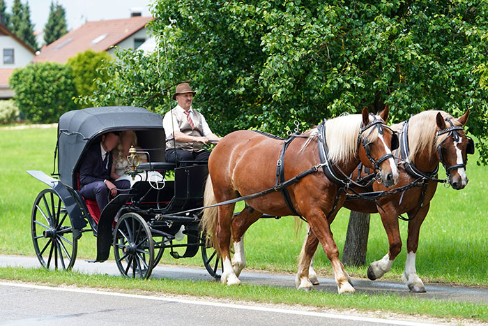 Geyer Kutschfahrten
